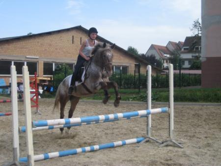 my loulou et moi